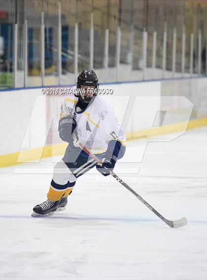 Thumbnail 3 in Gill St. Bernard's @ Pequannock photogallery.