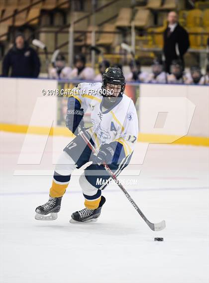 Thumbnail 3 in Gill St. Bernard's @ Pequannock photogallery.