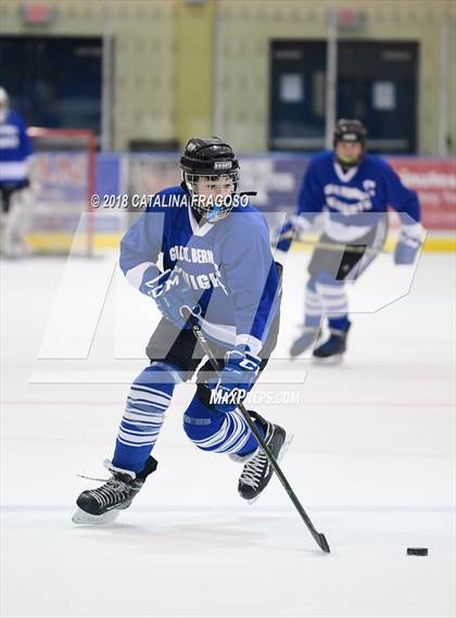 Thumbnail 2 in Gill St. Bernard's @ Pequannock photogallery.