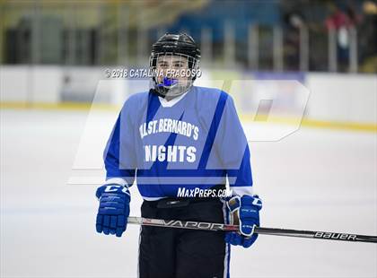 Thumbnail 2 in Gill St. Bernard's @ Pequannock photogallery.