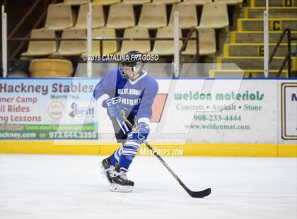 Thumbnail 2 in Gill St. Bernard's @ Pequannock photogallery.