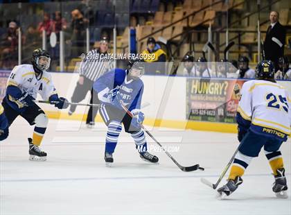 Thumbnail 3 in Gill St. Bernard's @ Pequannock photogallery.