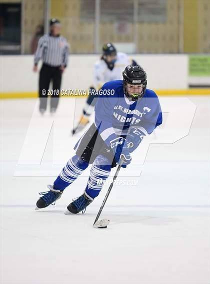 Thumbnail 2 in Gill St. Bernard's @ Pequannock photogallery.