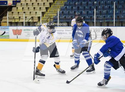 Thumbnail 2 in Gill St. Bernard's @ Pequannock photogallery.