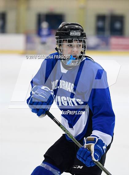 Thumbnail 2 in Gill St. Bernard's @ Pequannock photogallery.