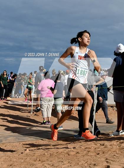 Thumbnail 1 in Rio Rancho Jamboree Championship Division photogallery.