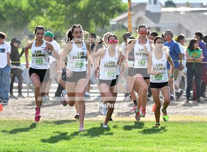 Thumbnail 2 in Rio Rancho Jamboree Championship Division photogallery.