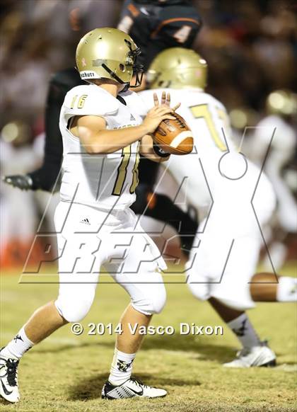 Thumbnail 3 in Verrado @ Desert Edge photogallery.