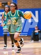 Photo from the gallery "Pine Forest @ Westover"