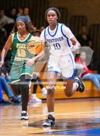 Photo from the gallery "Pine Forest @ Westover"