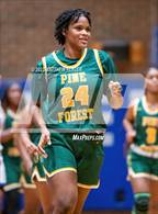Photo from the gallery "Pine Forest @ Westover"
