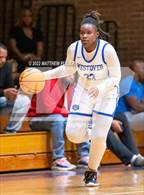 Photo from the gallery "Pine Forest @ Westover"