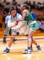 Photo from the gallery "Pine Forest @ Westover"