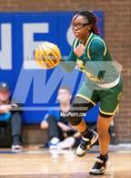 Photo from the gallery "Pine Forest @ Westover"