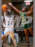 Photo from the gallery "Pine Forest @ Westover"