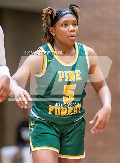 Thumbnail 3 in Pine Forest @ Westover photogallery.