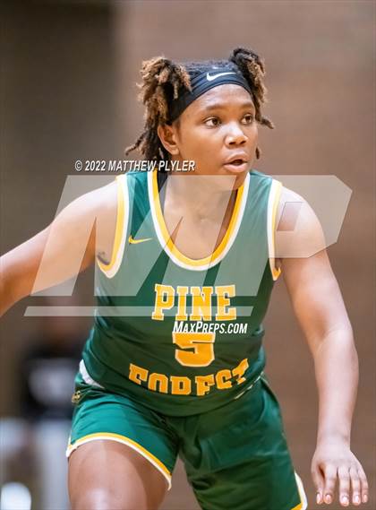 Thumbnail 1 in Pine Forest @ Westover photogallery.