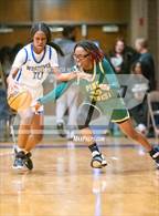 Photo from the gallery "Pine Forest @ Westover"