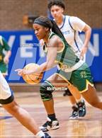 Photo from the gallery "Pine Forest @ Westover"