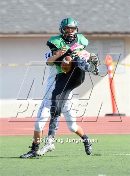 Thumbnail 1 in Novato @ Drake photogallery.