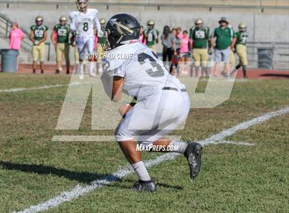 Thumbnail 3 in Canyon @ Brea Olinda photogallery.