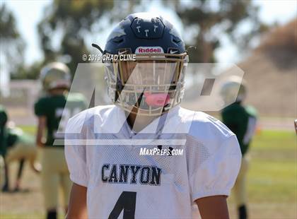 Thumbnail 1 in Canyon @ Brea Olinda photogallery.