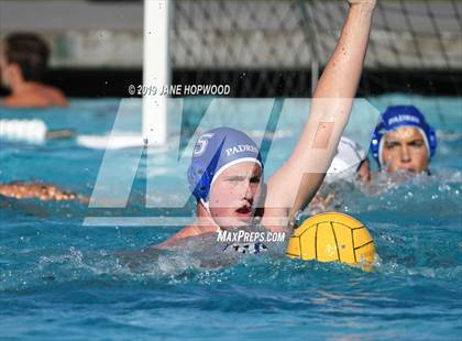Thumbnail 2 in Christopher vs Junipero Serra (Homestead) photogallery.