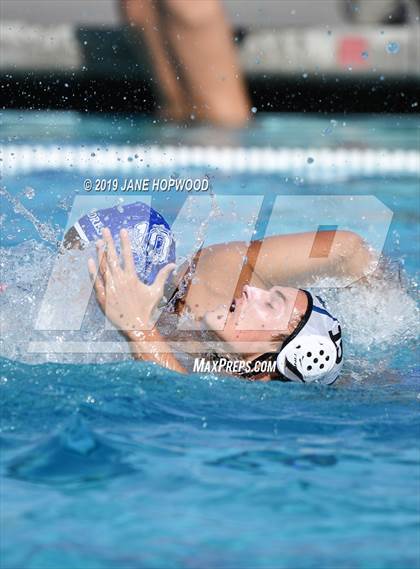 Thumbnail 3 in Christopher vs Junipero Serra (Homestead) photogallery.