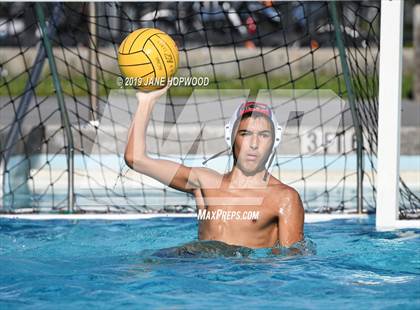 Thumbnail 1 in Christopher vs Junipero Serra (Homestead) photogallery.