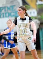 Photo from the gallery "Deltona @ Pine Ridge"