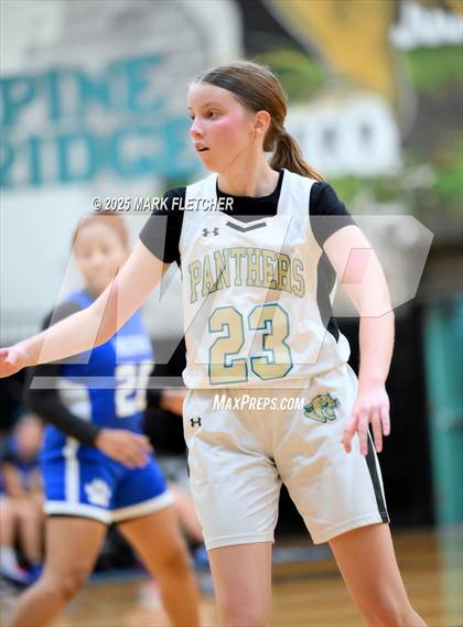 Thumbnail 1 in JV: Deltona @ Pine Ridge photogallery.