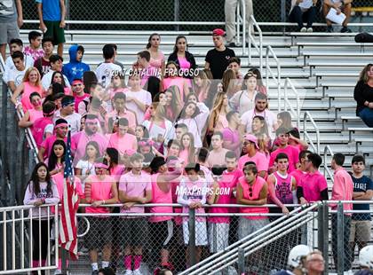 Thumbnail 2 in Nutley @ Paramus photogallery.