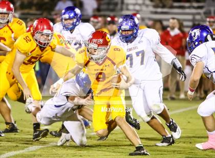 Thumbnail 3 in Casa Grande @ Seton Catholic photogallery.