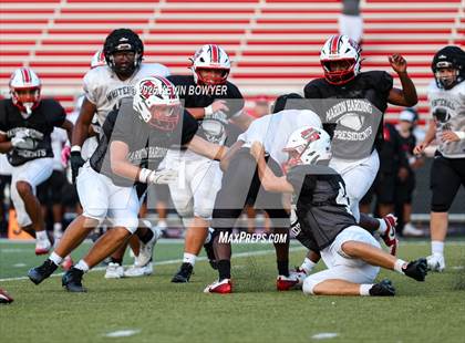 Thumbnail 1 in Whitehall-Yearling @ Marion Harding (Scrimmage) photogallery.