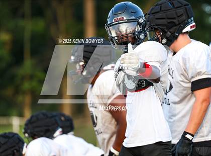 Thumbnail 2 in Whitehall-Yearling @ Marion Harding (Scrimmage) photogallery.
