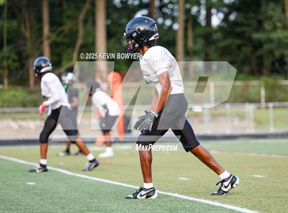 Thumbnail 1 in Whitehall-Yearling @ Marion Harding (Scrimmage) photogallery.