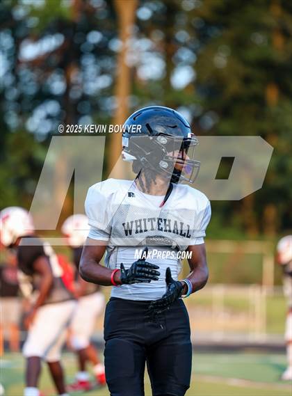 Thumbnail 1 in Whitehall-Yearling @ Marion Harding (Scrimmage) photogallery.
