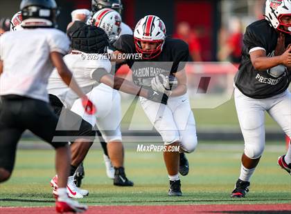 Thumbnail 1 in Whitehall-Yearling @ Marion Harding (Scrimmage) photogallery.