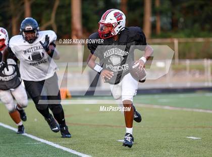 Thumbnail 3 in Whitehall-Yearling @ Marion Harding (Scrimmage) photogallery.