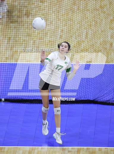 null - Photo 31
