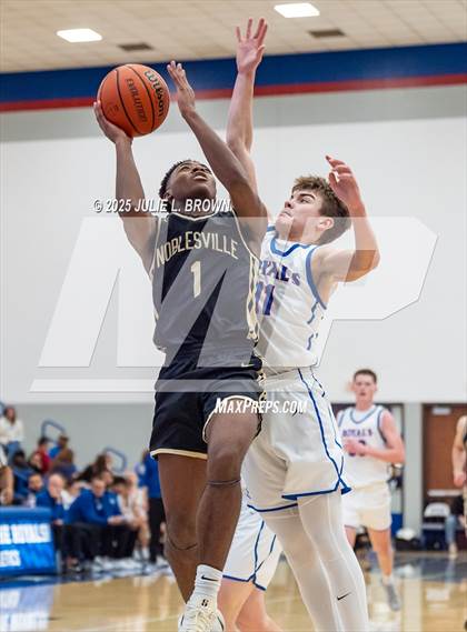 Thumbnail 3 in Noblesville @ Hamilton Southeastern photogallery.