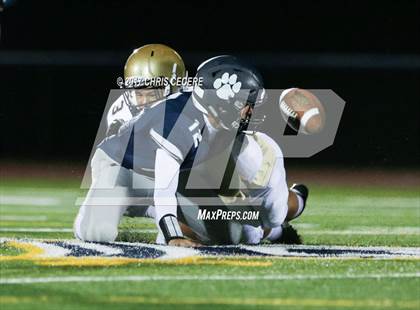 Thumbnail 2 in Canisius @ Pittsford photogallery.