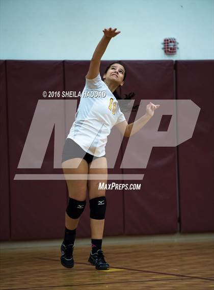 Thumbnail 3 in Admiral Farragut @ Brooks DeBartolo Collegiate photogallery.
