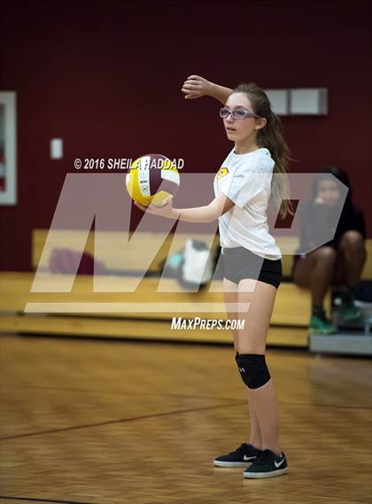 Thumbnail 1 in Admiral Farragut @ Brooks DeBartolo Collegiate photogallery.