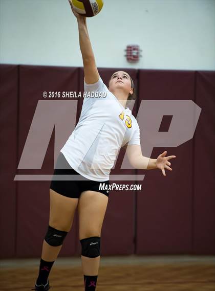 Thumbnail 3 in Admiral Farragut @ Brooks DeBartolo Collegiate photogallery.