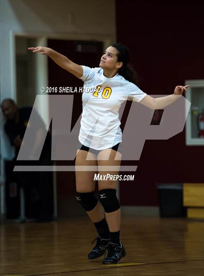 Thumbnail 3 in Admiral Farragut @ Brooks DeBartolo Collegiate photogallery.