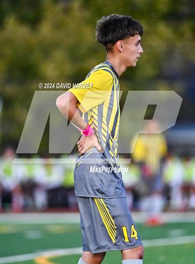 null - Photo 01