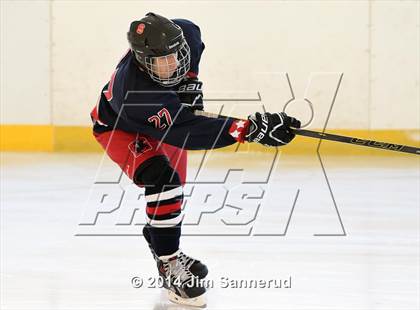 Thumbnail 1 in Greeley vs Archbishop Stepinac (Guy Mathews Invitational Tournament) photogallery.