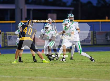 Thumbnail 1 in Fort Myers @ Charlotte photogallery.