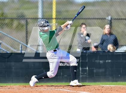 Thumbnail 2 in Ellison @ Vandegrift (Pennybacker Classic) photogallery.